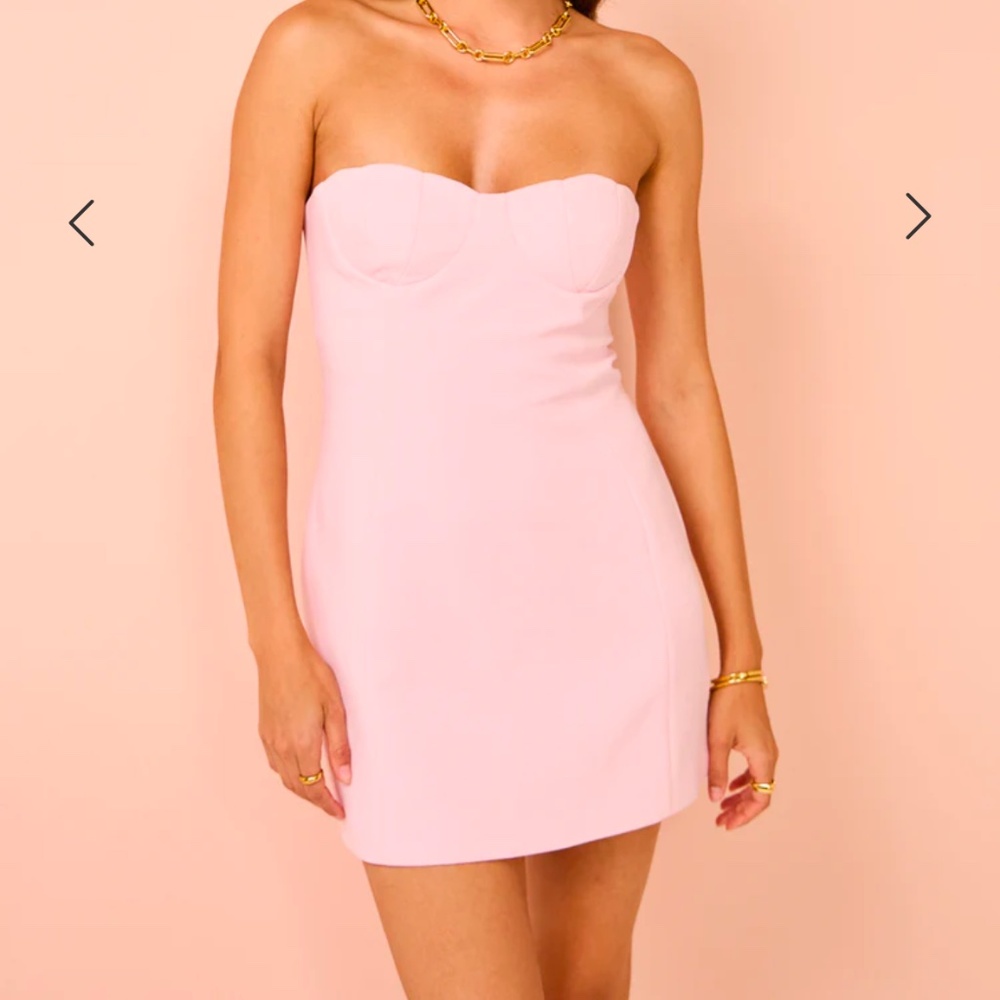 NWT Light Pink Issy Mini Dress